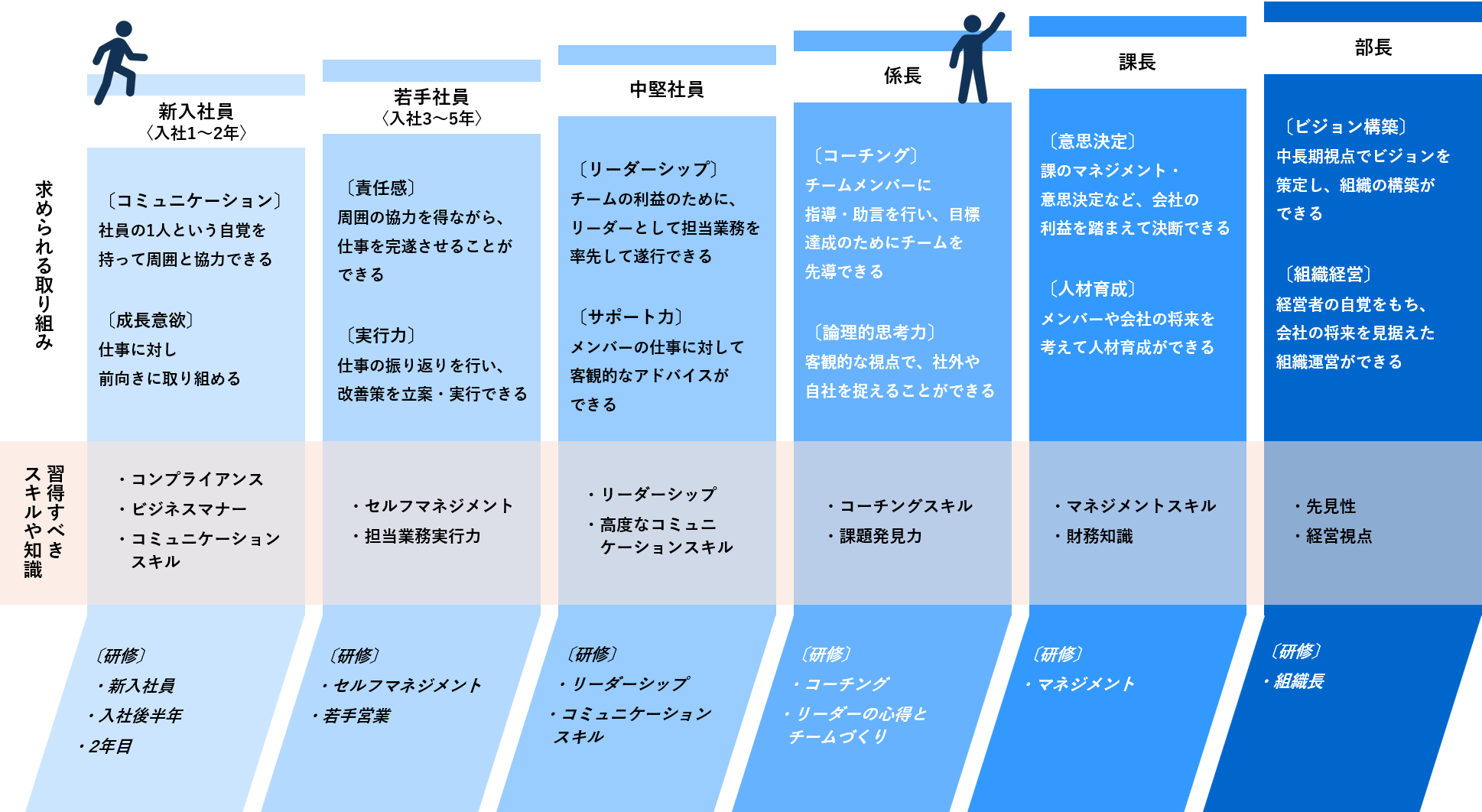 松山株式会社でのキャリアマップです。階層ごとに求められる取り組みや習得すべきスキルや知識があり、階層ごとの研修も充実しています。